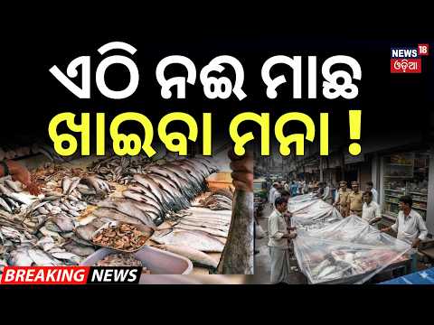 ନଈ ମାଛ ଖାଇବା ମନା ! Nepal Flood Impact | Bihar Bans Fish Sale & Consumption | Unknown Fish From Nepal