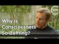 Giulio Tononi - Why is Consciousness so Baffling?