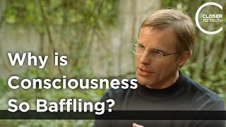 Giulio Tononi - Why is Consciousness so Baffling