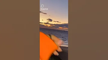 نقعدلك فيدال ونديرو لحلال 