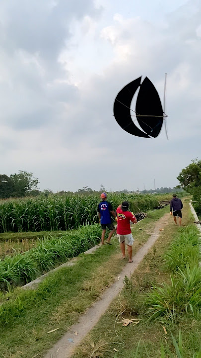 Bigses 7 meter di turunkan dengan satu orang #mamayo #layangan #layanglayang #kite