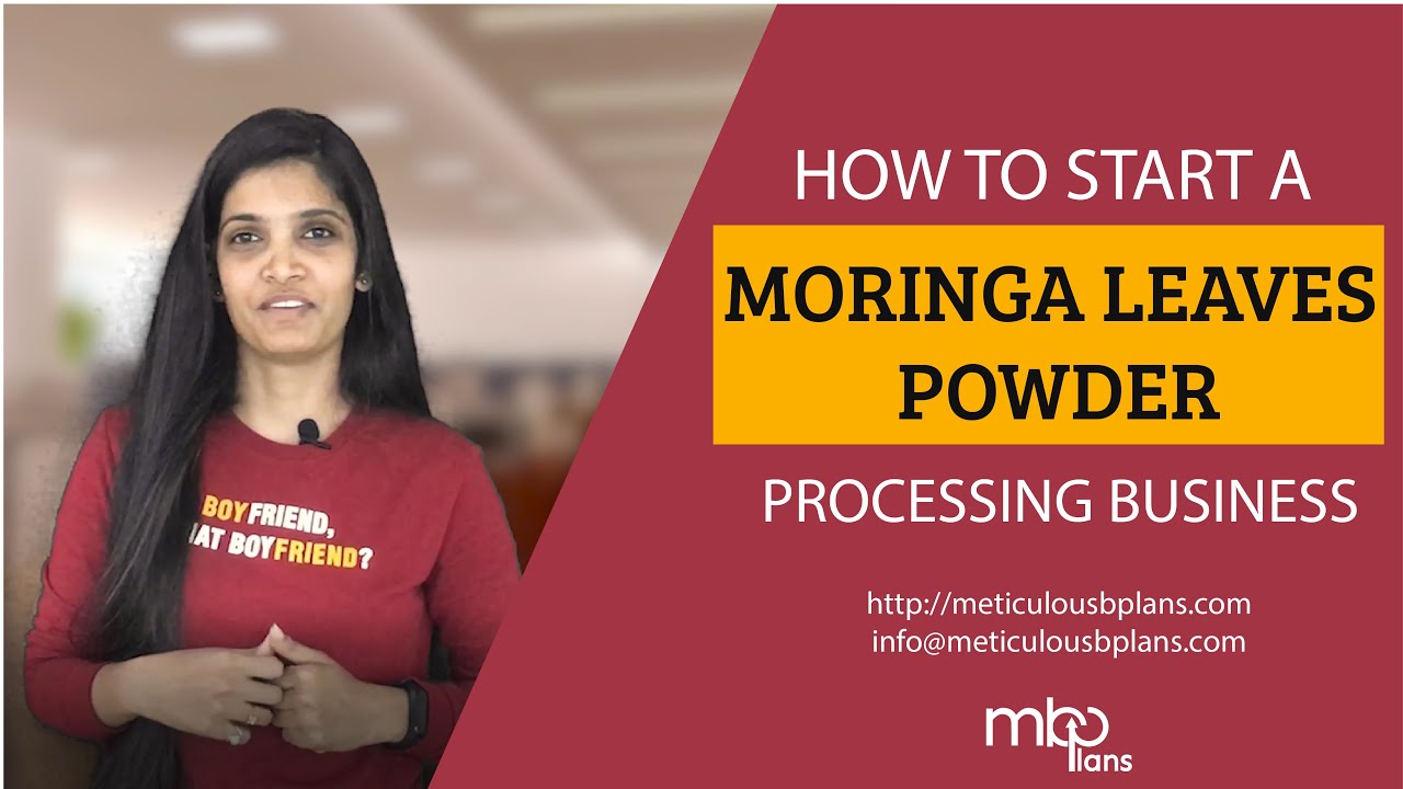How to start MORINGA LEAVES Powder Business? - BUSINESS PLAN - YouTube