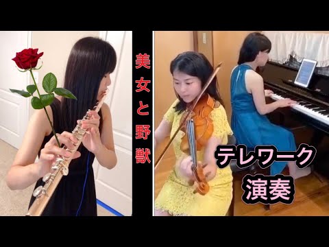 【美女と野獣 (Beauty and the Beast)】日本語歌詞付き⭐︎フルート＋バイオリン＋ピアノでテレワーク演奏♪ディズニーの中で一番好きな映画の曲なのでコンサートの定番ソングでした。