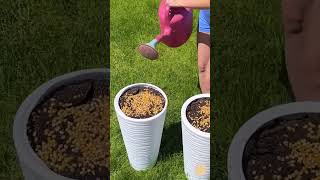 Mühelose Garten-Tricks, Die Tatsächlich Funktionieren