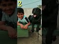 Labrador good habits| क्या आप जानते हो| Cute Labrador female| Jaggi k videos|#shorts |#dog