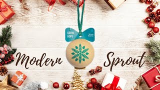 Modern Sprout White Spruce Christmas Tree Plant Ornament #shorts