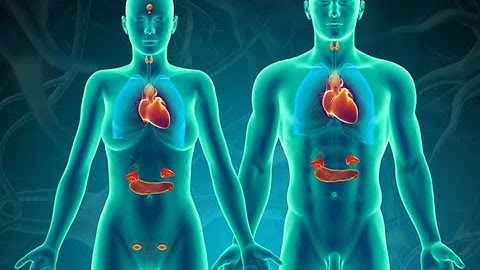 [ Sinh lý bệnh ] LT Modun Nội tiết