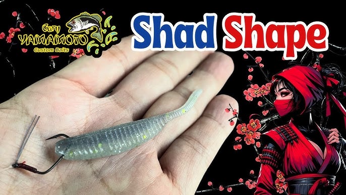 Shad Shape Worm. Japan designed Yamamoto baits. Don't underrate it