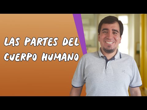 Vídeo: El Cuerpo Humano