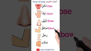 Parts Of Body أعضاء الجسم