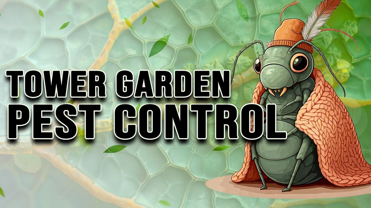 STOP LETTING BUGS EAT YOUR PLANTS! Try This to Prevent Pests on your Hydroponic Tower
