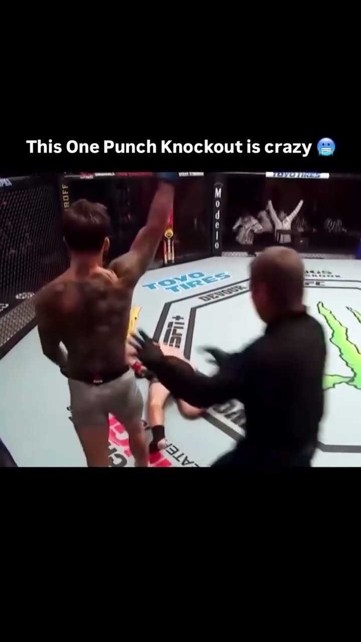Right Counter ? #ufc #knockout #combatsports