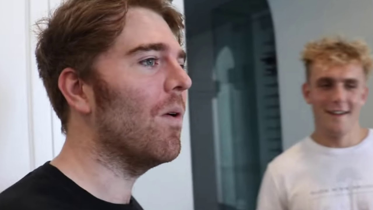 Analysis of Shane Dawson's Jake Paul Series YouTube
