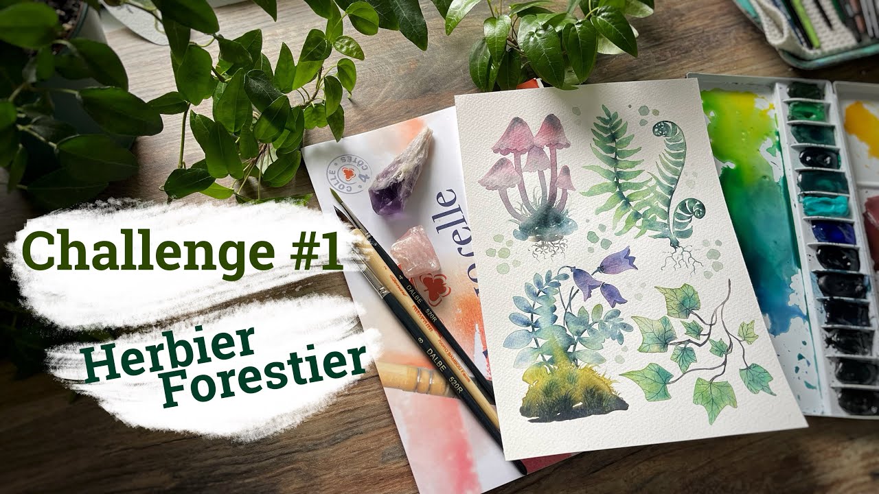Challenge Les secrets de la foret : #1 Herbier forestier