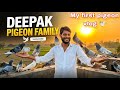 My first pigeon vlog  🕊️ || मेरे कबूतरों का पहला विडियो 🙏🏻 || Like,share and comment #kabutar #vlogs