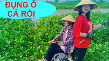 Run tay với màn kéo tay đôi ẻm cá Trôi bự chảng | Câu Cá Miệt Vườn T46