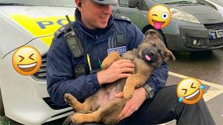 You Will Laugh Harder Than You Expect 🤣 FUNNIEST DOGS Video 2026 #125