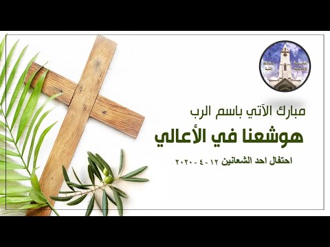 آحد الشعانين ولكني سأراكم أيضا فتفرح قلوبكم ولا ينزع أحد فرحكم منكم يوحنا 16 22 القس كمال يوسف