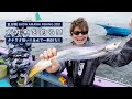 【 太刀魚を釣る ‼︎ 】タチウオ狙い ‼︎
横須賀市 走水で一騎打ち。6時間一本勝負 ‼︎‼︎