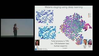 Cell Profiler: Targeting diseases via morphological profiling (2017)