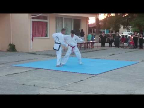 taekwon do selfdefence