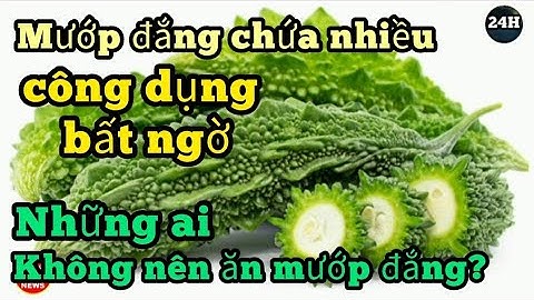 Sức khỏe: Tác dụng của quả mướp đắng, những ai không nên ăn mướp đắng? NTN SL