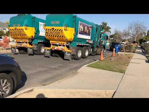 Video: Garbage Day Tilbyder En åben Verden Uden Låste Døre