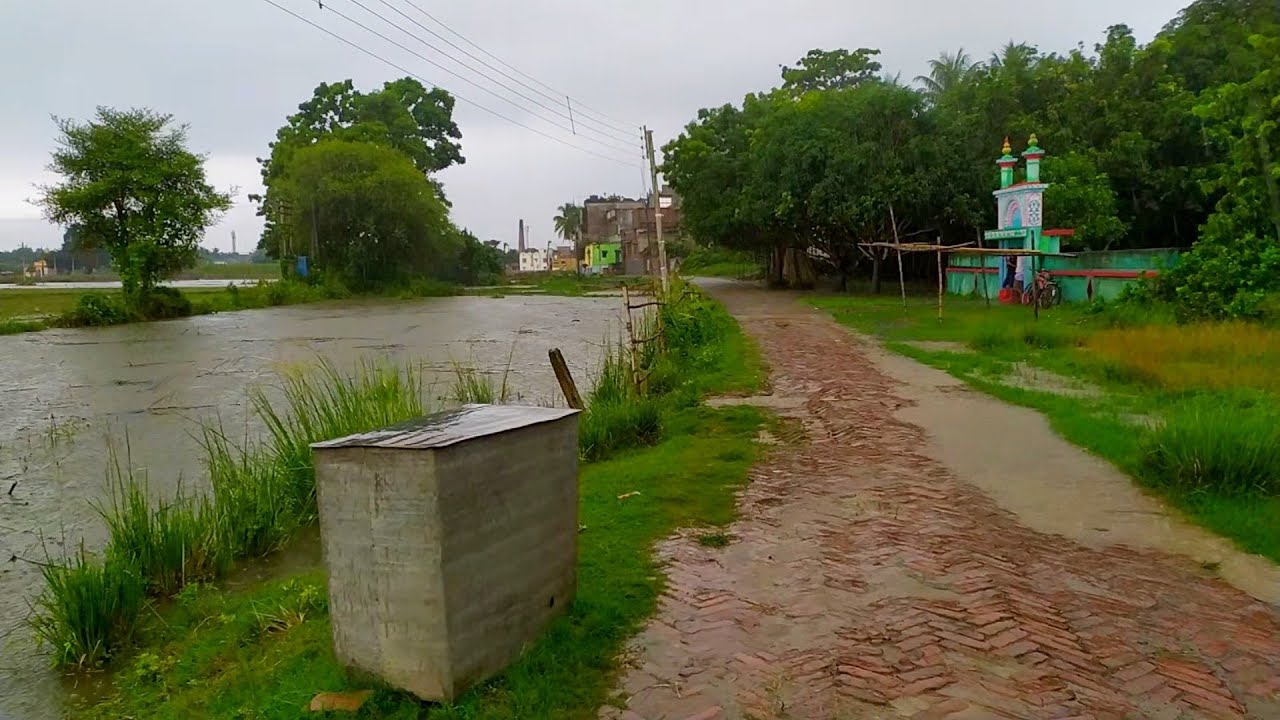 Walking in Rain , Refreshing Rain Sounds for sleeping