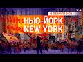 «Нью-Йорк New York». 6 февраля 2022