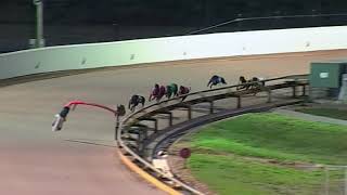 GEL FRI 11 JAN 19 R6