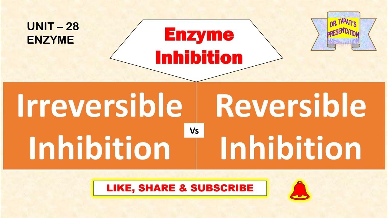 Differences between irreversible and reversible enzyme inhibition