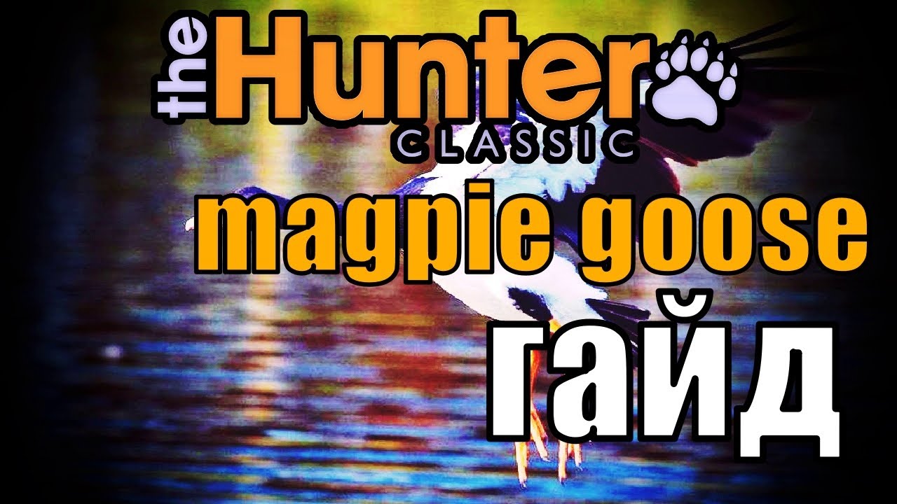THE HUNTER CLASSIC ГАЙД НА ПОЛУЛАПЧАТОГО ГУСЯ