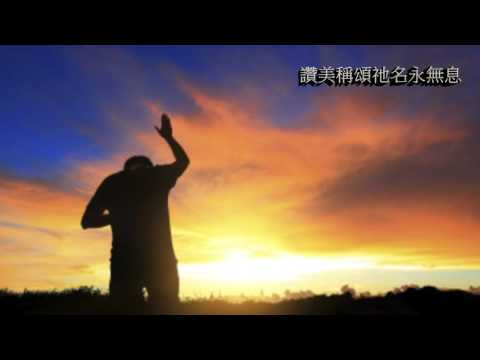 田中的白鷺鷥～鋼琴演奏版本，Singing Music心音室內樂團