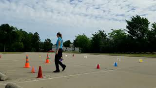 AKC Virtual Beginner Novice Course #1 (4/22/23)