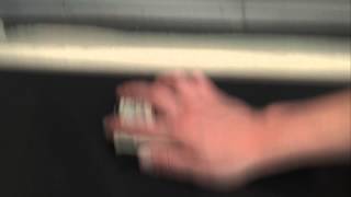 Whip Transition Test