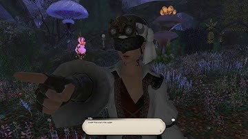 FFXIV ARR : Lv50 True to Form - Walkthrough