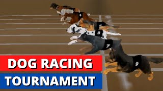 Dog Racing Tournament | Cute Puppy Dog Racing | Dog race | Dog Racing 3D Game | Greyhounds screenshot 3