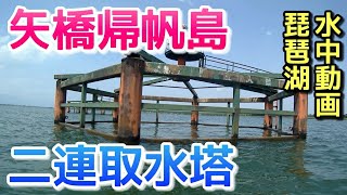 【琵琶湖の水中動画】矢橋帰帆島(人工島)沖の二連取水塔