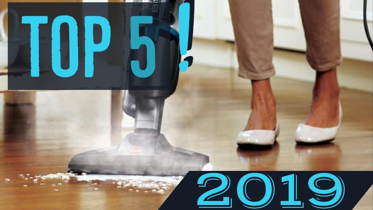 Best Steam Cleaner For Fleas In 2020 Killing Fleas With Steam