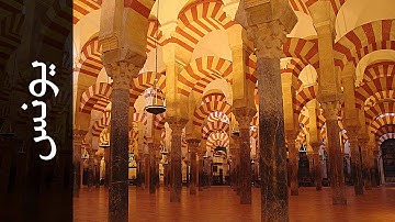 سورة يونس الدوكالي محمد العالم   Surah Yunus Addokali Mohammad Alalim