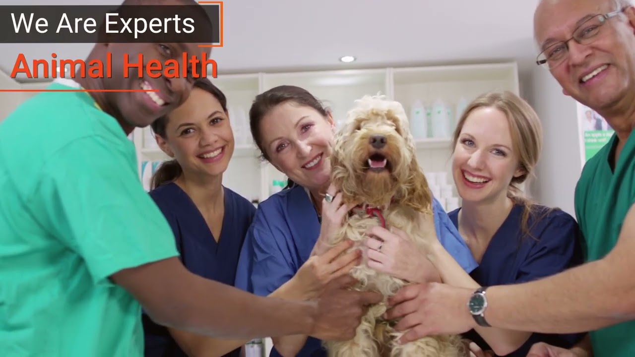 ESTS Logiclave Purpose Film