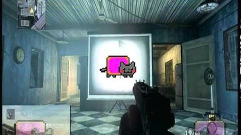 Nyan of Duty - Cat Ops