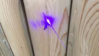 Moth lands on high powered laser and burns itself! 😱