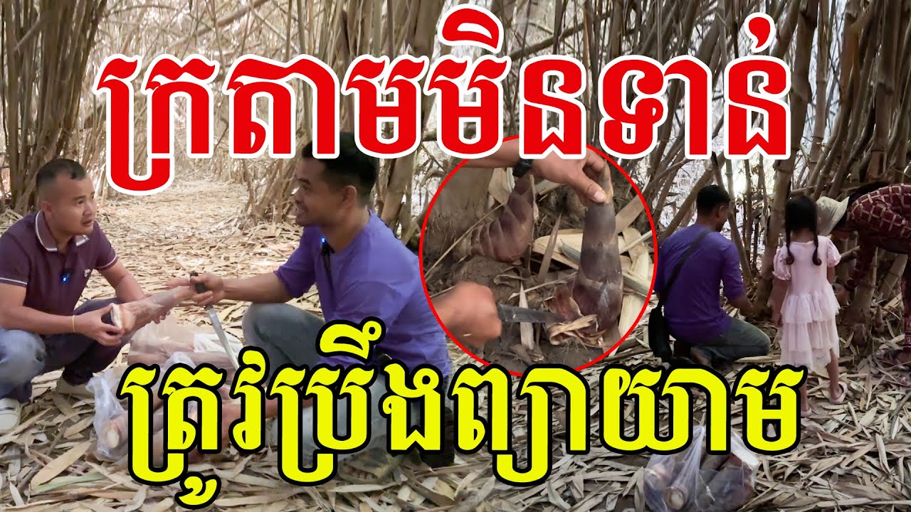 ខំប្រឹងមិនទំនេរសោះ សរសើរគ្រួសារបងប្រុសពូកែមែន