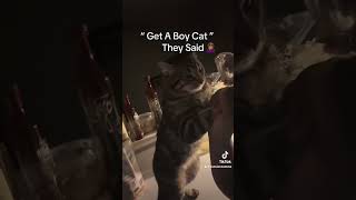 My Mom && Our Cat Follow Her On Tt