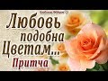 "Любовь Подобна Цветам" Притча о Мудрости в Жизни.