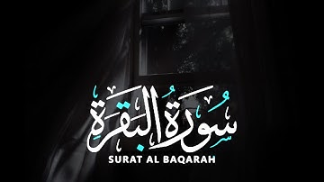 سورة البقرة || القارئ انس الشافعي