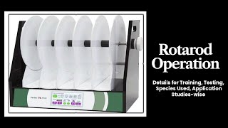How to Perform the Rotarod Test: Assessing Motor Coordination in Rodents