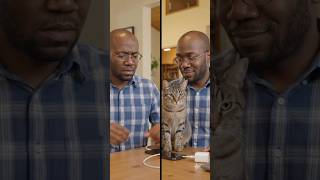 Is the cat an accomplice? 😼subscribe to vote #comedyshorts #laughter