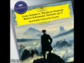 Schubert Wanderer Fantasie (Maurizio Pollini)